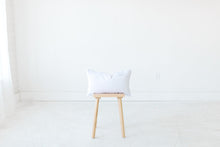 Load image into Gallery viewer, Premium Down Pillow Insert - 12" x 20"